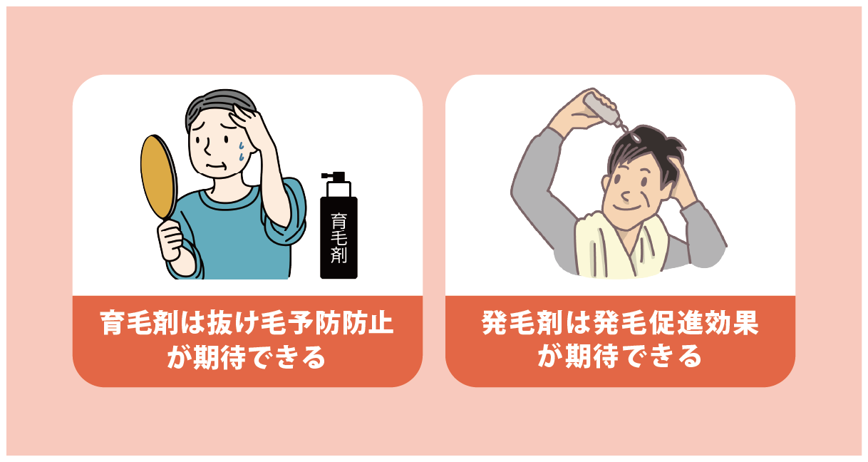 育毛剤の効果とは？発毛剤との違いも解説