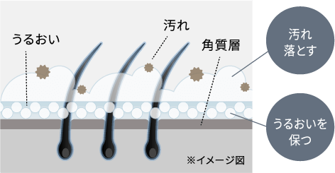 独自の洗浄成分アミノDウォッシュ