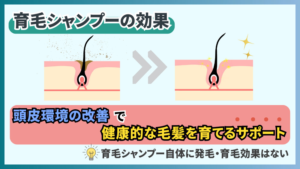 育毛シャンプーの効果とは？