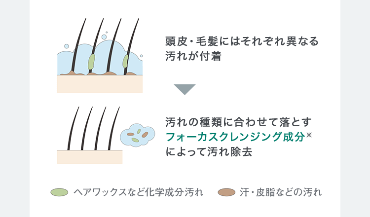 寝ぐせ・うねりを整えるフォーカスクレンジング成分