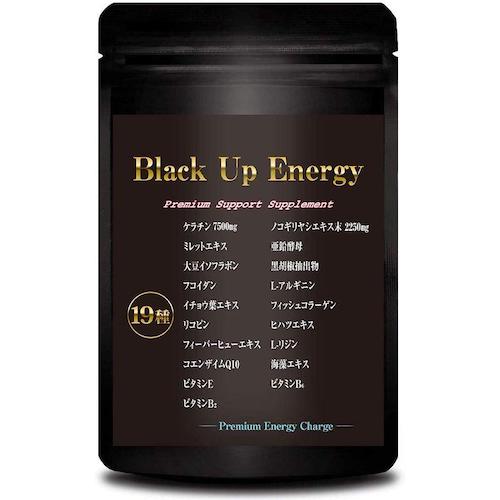 育毛サプリ Black Up Energy