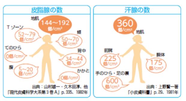 不十分な頭皮ケアによる頭皮環境の悪化