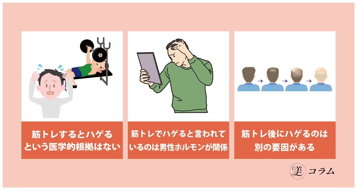 筋トレでハゲるは嘘！筋トレと薄毛の関係性